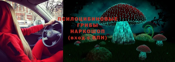 мяу мяу мука Алексеевка