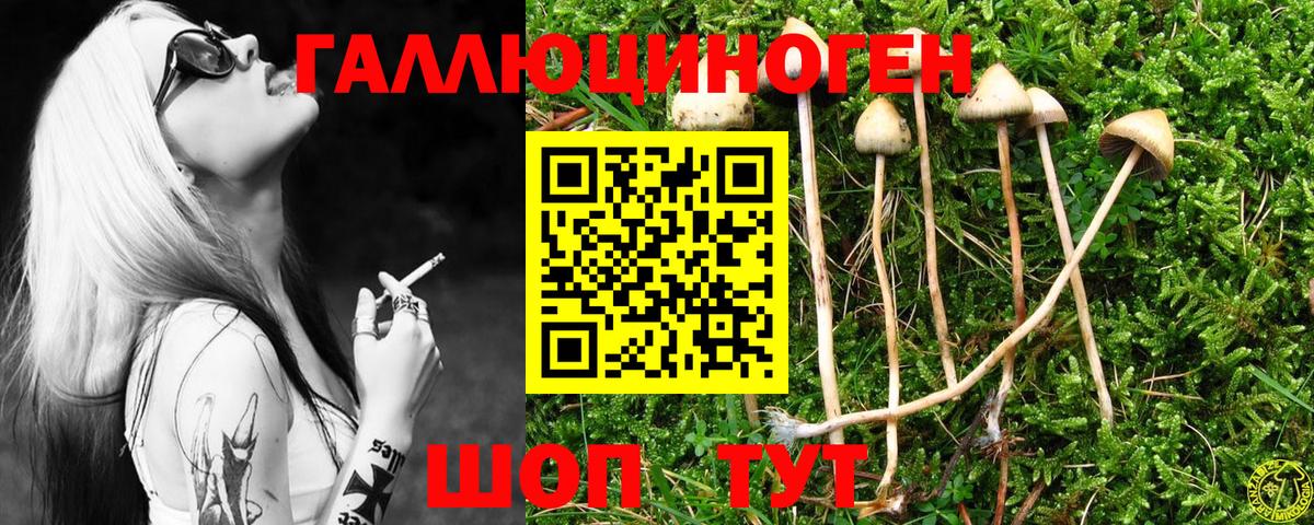 Электрогорск  Галлюциногенные грибы Magic Shrooms  купить закладку  Вход с VPN 