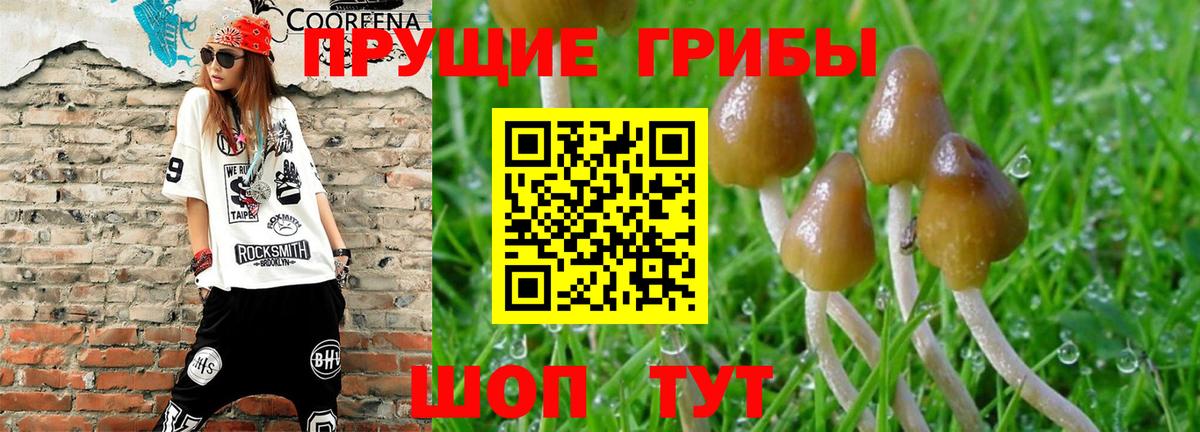 Галлюциногенные грибы Magic Shrooms Электрогорск